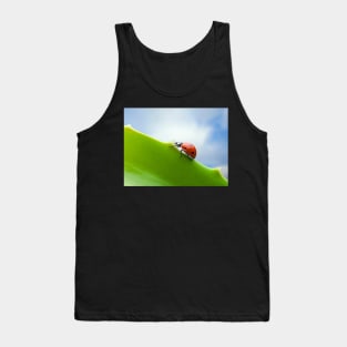 Wall Art - Ladybird, Ladybug Ascent - Photo print, canvas, artboard print Canvas Print Tank Top